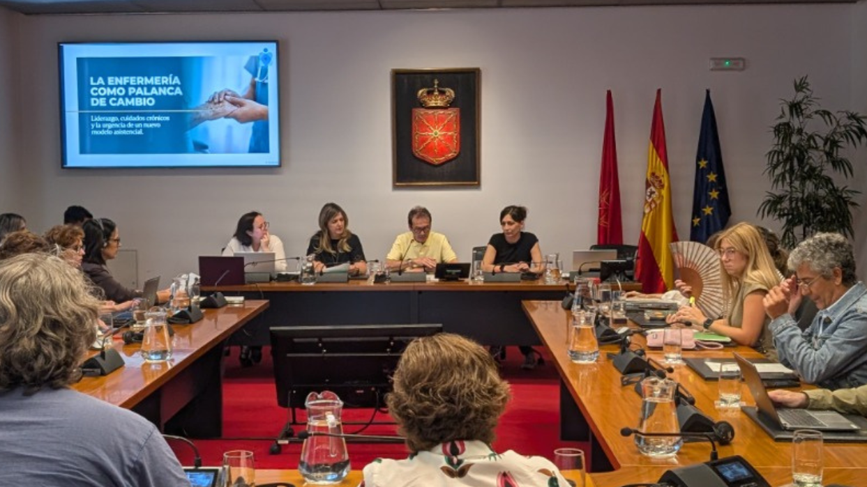 SATSE comparecencia parlmaento de Navarra