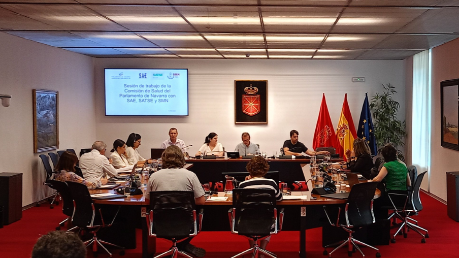 Comisión salud parlamento de navarra SATSE